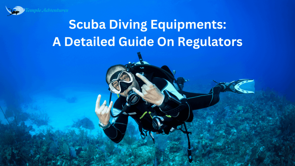Temple Adventures, Scuba Diving, Scuba Diving in Pondicherry, Scuba Diving in India, Best Scuba Diving in India, diving, diving in Pondicherry, diving in india, best diving in india, best diving in Pondicherry, Place to visit in Pondicherry, Place to see in Pondy, Watersports in Pondicherry, Scuba diving in Pondy, Things to do in Pondicherry, Adventure activities in Pondy, Pondicherry tourist places, Pondicherry water sports, Pondy water sports, Sailing in Pondicherry, Boating in Pondy, Alternate career options, Best scuba diving in Pondicherry, Best scuba dive centre in india, PADI CDC centre in India, Open water course in India, Free diving in India, Dive master course in India, PADI dive master course in Pondy, Best place to learn scuba diving in India, Scuba instructor course in India, Best dive site in India, Best place to dive in Pondicherry, Best deep dive site in India, Best Scuba equipment in India,