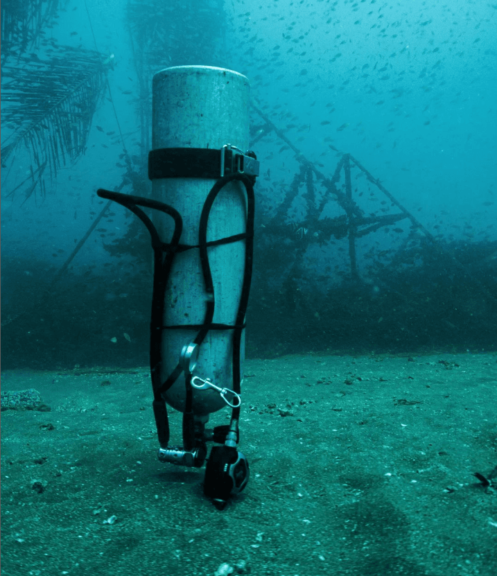 Temple Adventures, Scuba Diving, Scuba Diving in Pondicherry, Scuba Diving in India, Best Scuba Diving in India, diving, diving in Pondicherry, diving in india, best diving in india, best diving in Pondicherry, Place to visit in Pondicherry, Place to see in Pondy, Watersports in Pondicherry, Scuba diving in Pondy, Things to do in Pondicherry, Adventure activities in Pondy, Pondicherry tourist places, Pondicherry water sports, Pondy water sports, Sailing in Pondicherry, Boating in Pondy, Alternate career options, Best scuba diving in Pondicherry, Best scuba dive centre in india, PADI CDC centre in India, Open water course in India, Free diving in India, Dive master course in India, PADI dive master course in Pondy, Best place to learn scuba diving in India, Scuba instructor course in India, Best dive site in India, Best place to dive in Pondicherry, Best deep dive site in India, Best Scuba equipment in India,