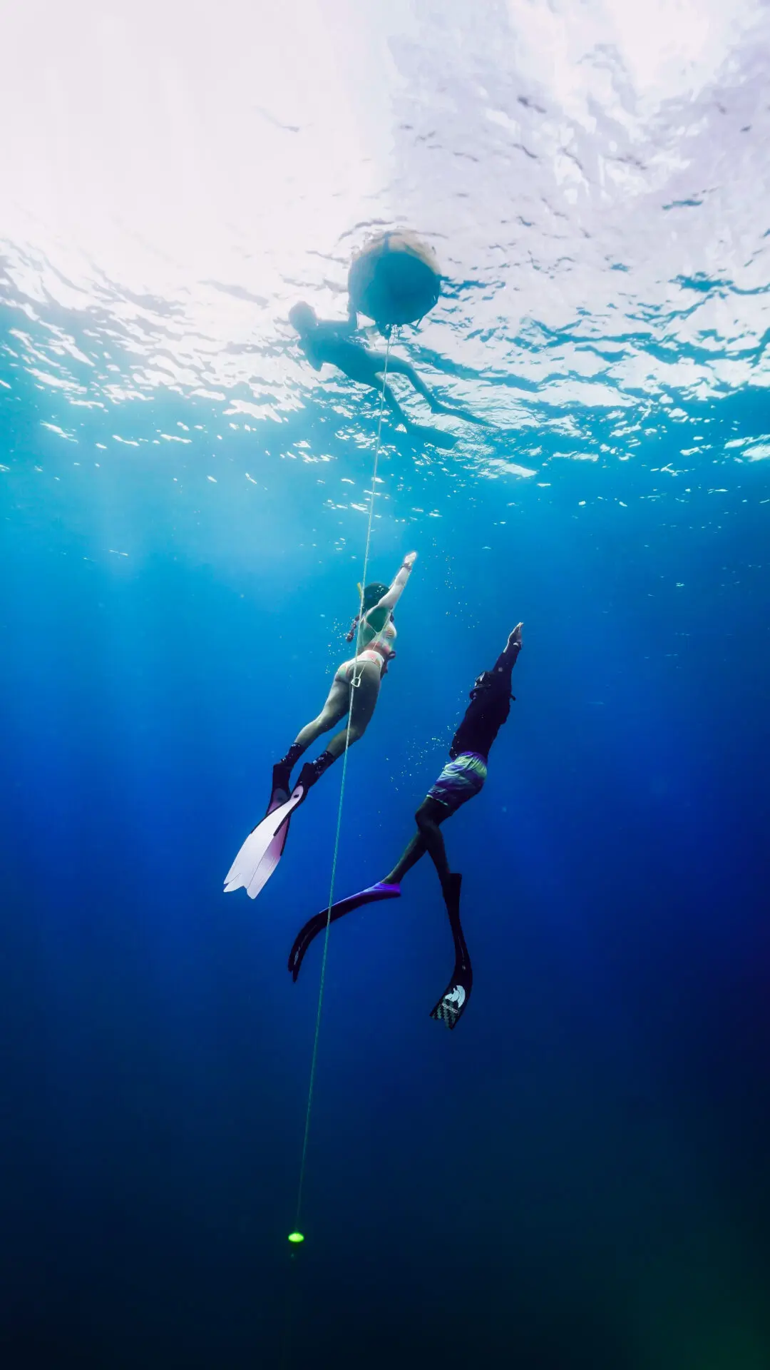 Freediving Camp Havelock