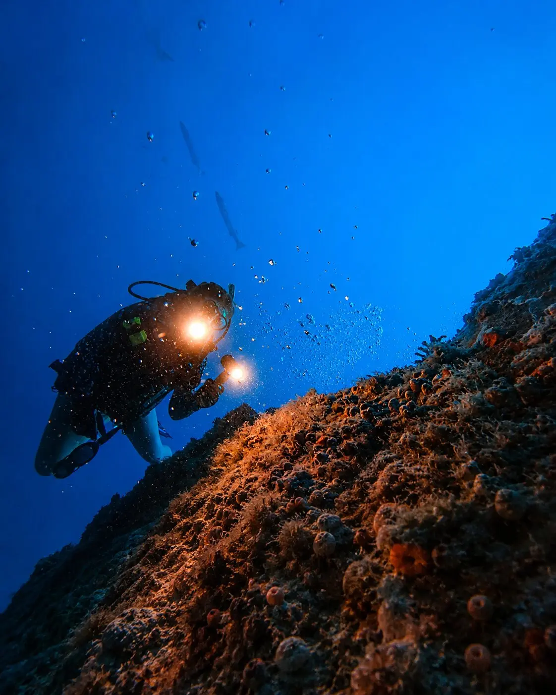 Lakshadweep Dive Trip