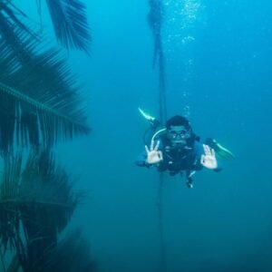 Unlimited Diver