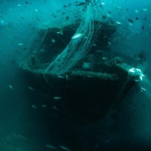 Wreck Diver Course