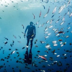 Freediving Fun Dive