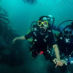 Adaptive Diver