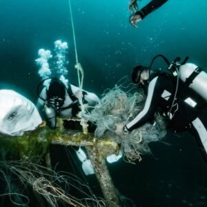 Dive Against Debris