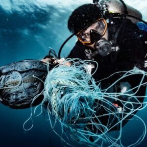 Dive Master