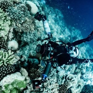 Underwater Digital Photography Course