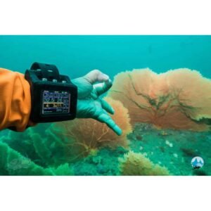 Deep Diver Course